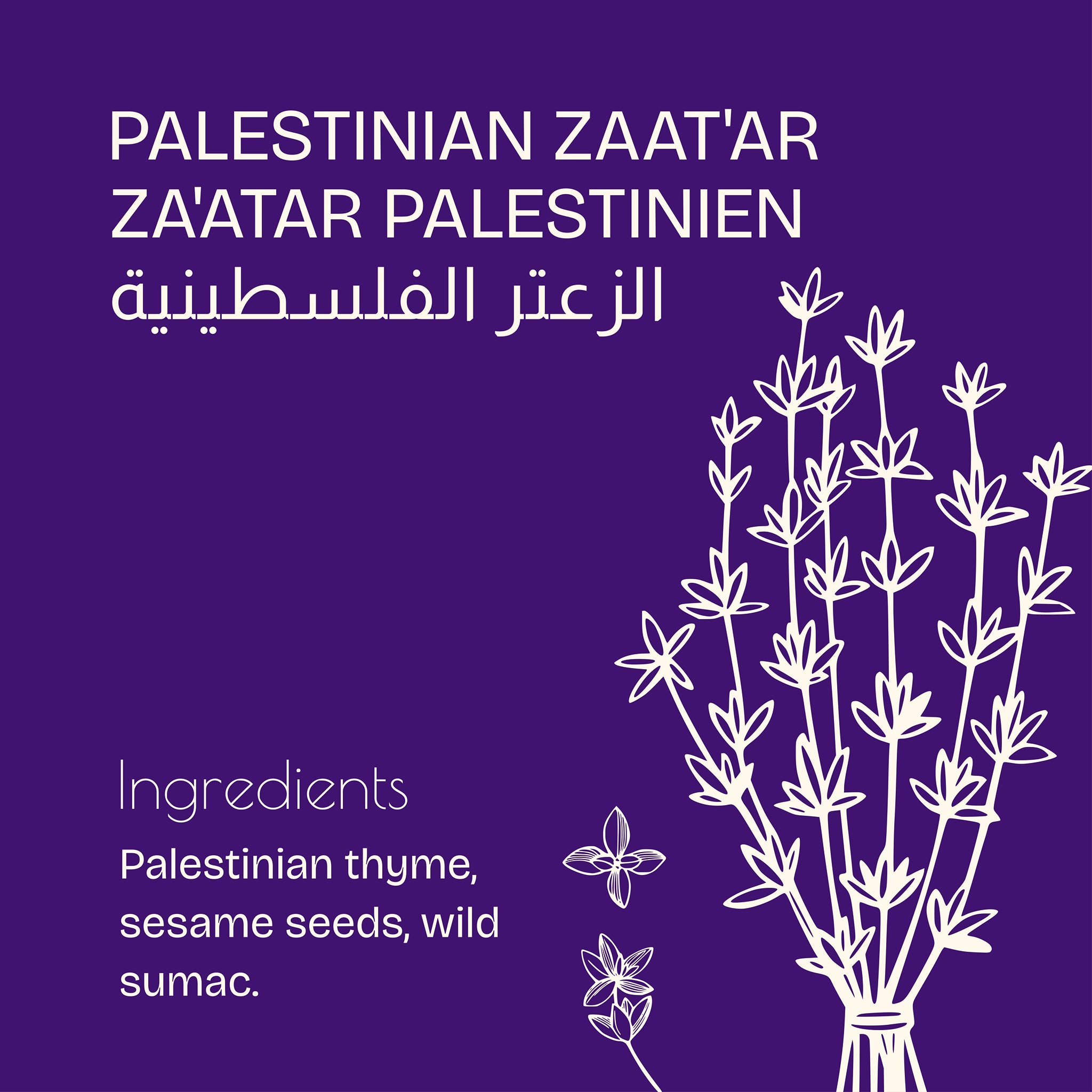 Palestinian Za'atar